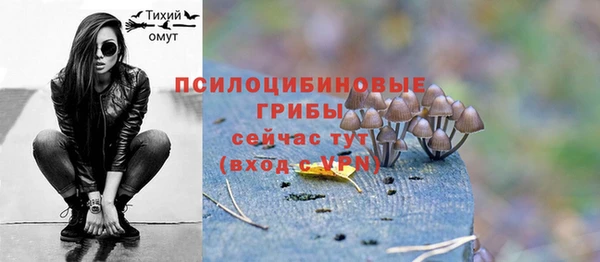 метадон Богородск