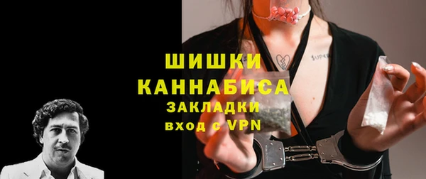 амф Богородицк