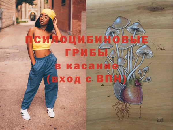 метадон Каменка