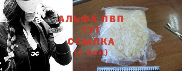 шишки Чердынь
