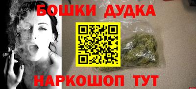 СК Гатчина