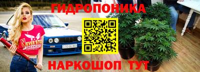 гидропоника Балахна