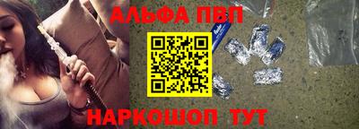 СК Гатчина