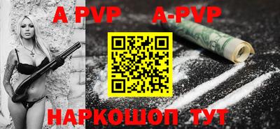СК Гатчина