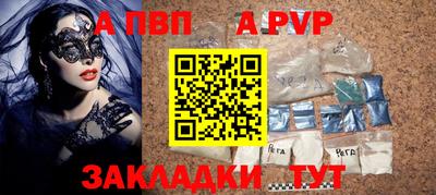 СК Гатчина