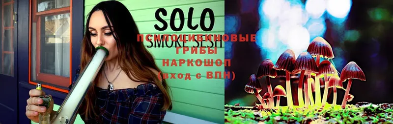 Псилоцибиновые грибы GOLDEN TEACHER  Волгодонск 