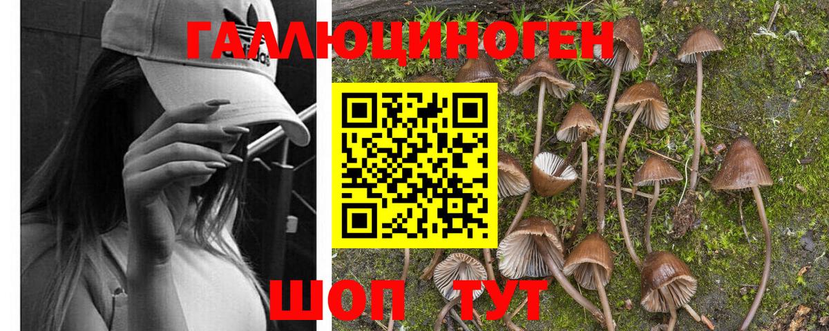 Галлюциногенные грибы Magic Shrooms Волгодонск