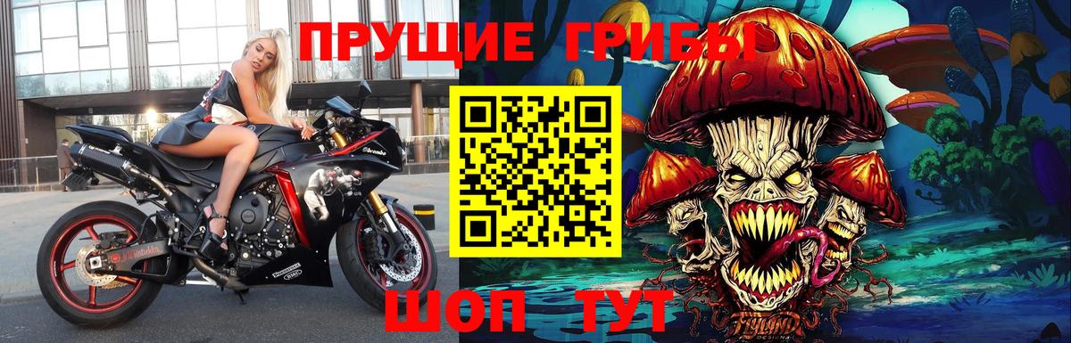 Галлюциногенные грибы MAGIC MUSHROOMS  Вход с VPN  Волгодонск 